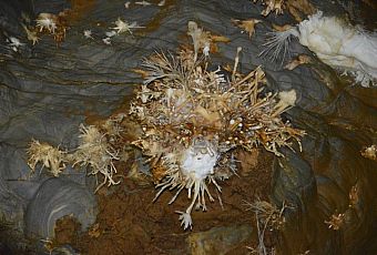Ochtińska Jaskinia Aragonitowa
