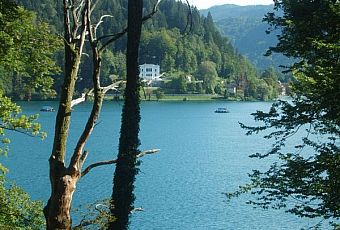 Bled