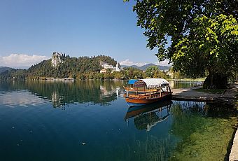 Bled