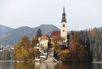 Bled