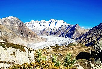 Lodowiec Aletsch