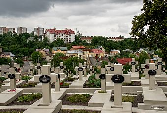 Cmentarz Orląt