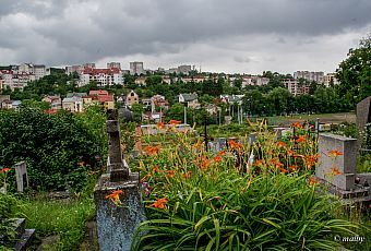 Widok na Lwów z Cmentarza Łyczakowskiego