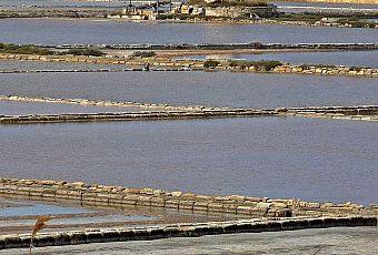 Trapani