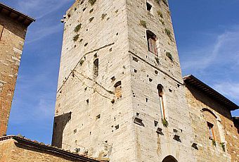 Volterra