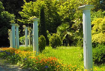 Ogród Botaniczny w Batumi