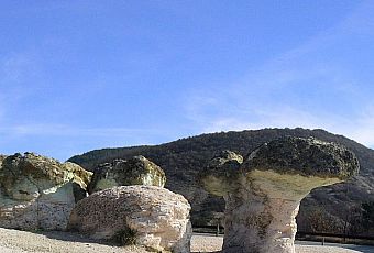 Kamienne Grzyby