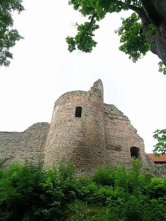 Zamek Pecka