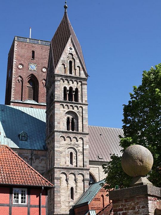 Ribe