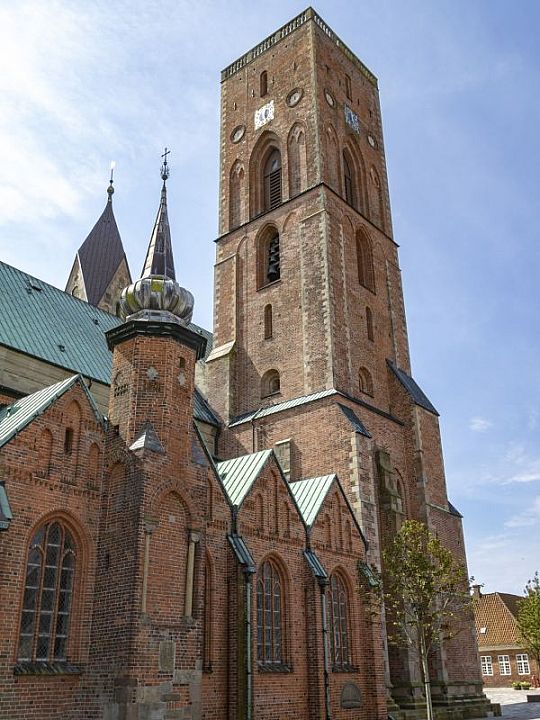 Ribe