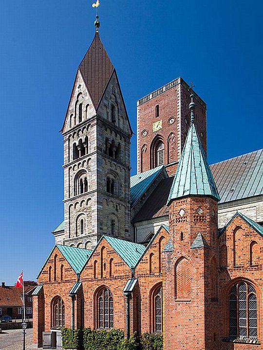 Ribe