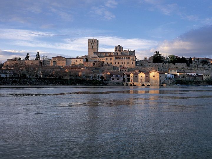 Zamora