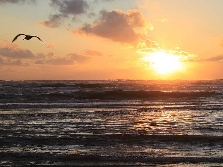 Zandvoort
