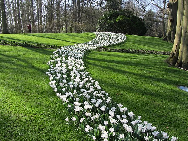 Keukenhof