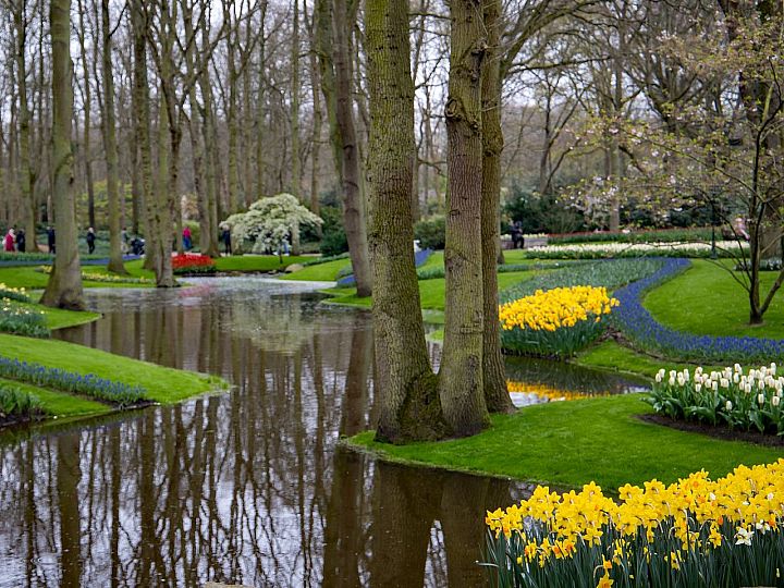 Keukenhof