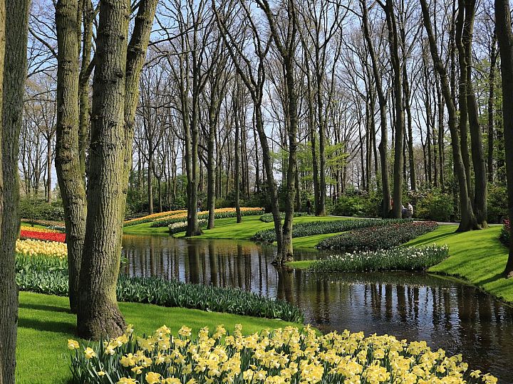 Keukenhof