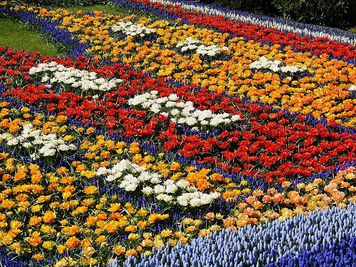Keukenhof