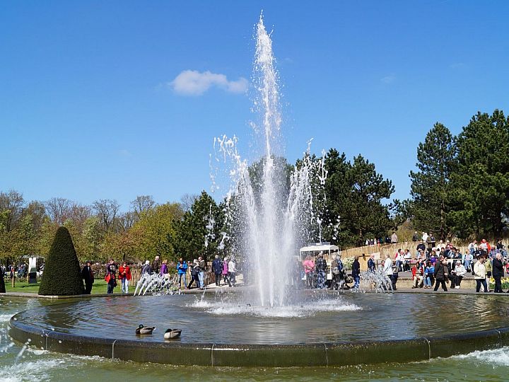 Keukenhof