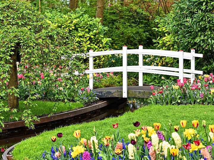 Keukenhof