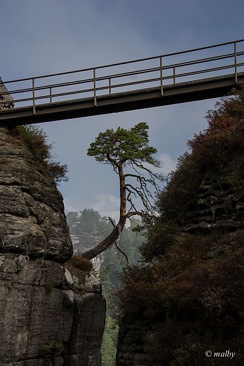 Bastei - Skały Bastei