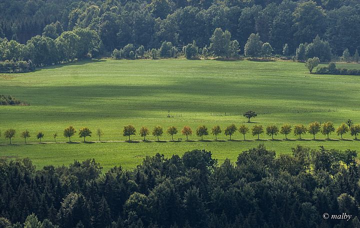 Twierdza Königstein - Widok ze szczytu