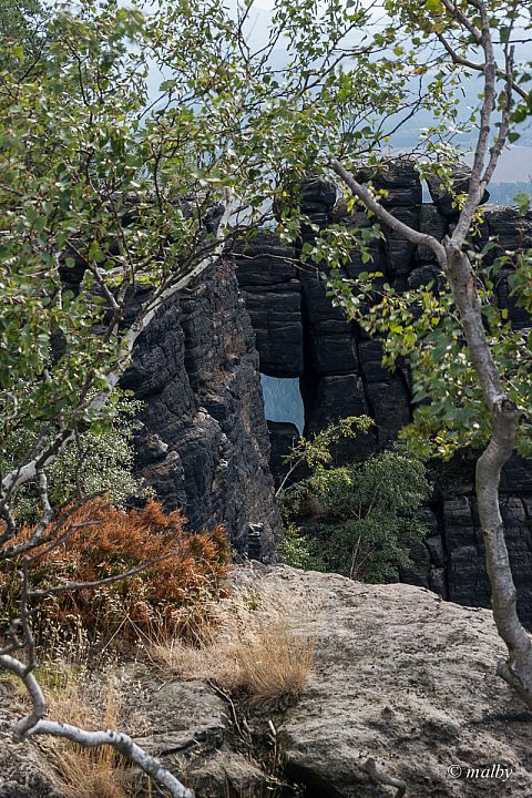 Lilienstein - Na szczycie