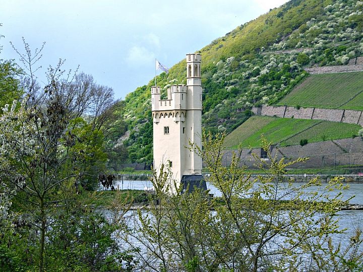 Mysia Wieża w Bingen
