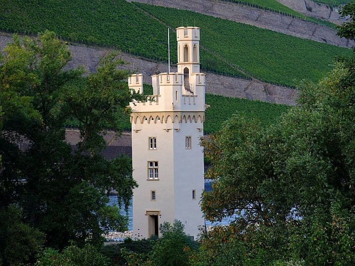 Mysia Wieża w Bingen