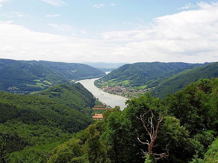 Zamek Aggstein