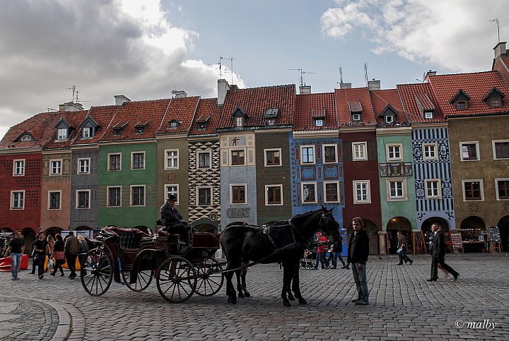 Poznań - Dorożka na rynku