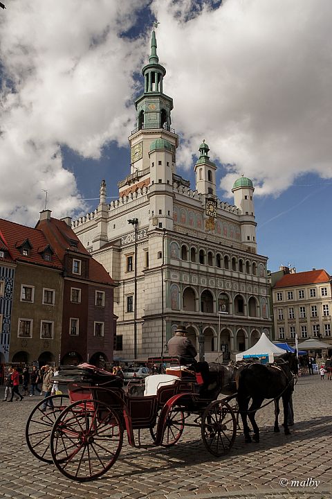 Poznań - Dorożka pod ratuszem