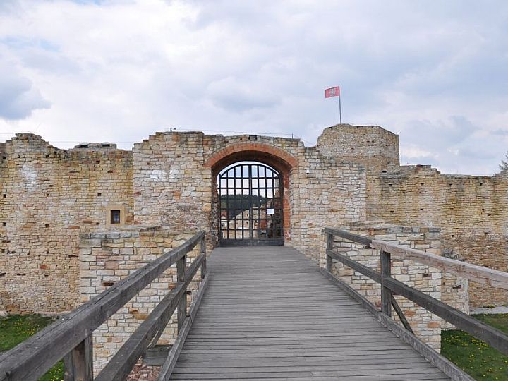 Zamek w Inowłodzu