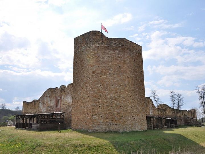 Zamek w Inowłodzu