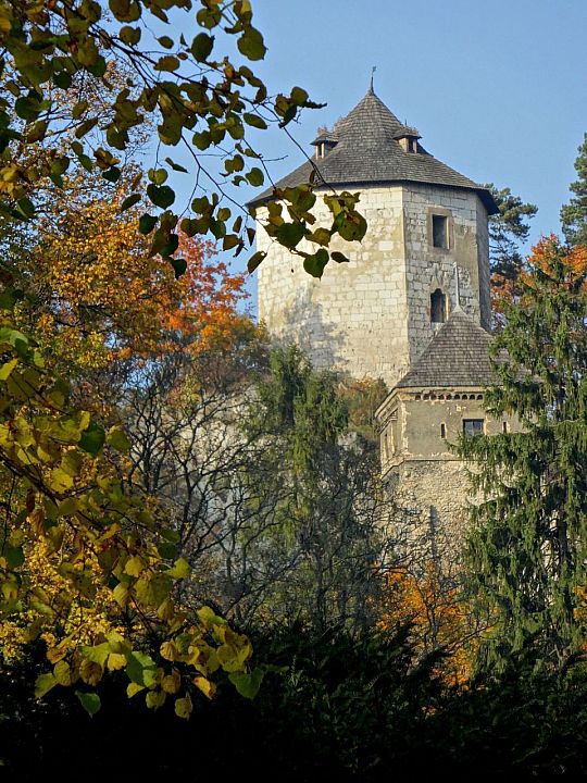 Zamek w Ojcowie