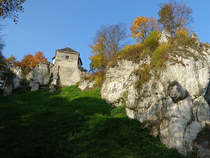 Zamek w Ojcowie