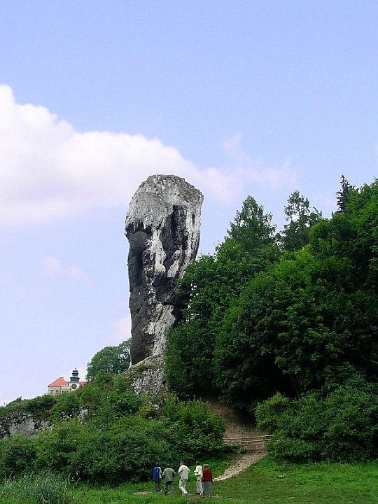 Maczuga Herkulesa