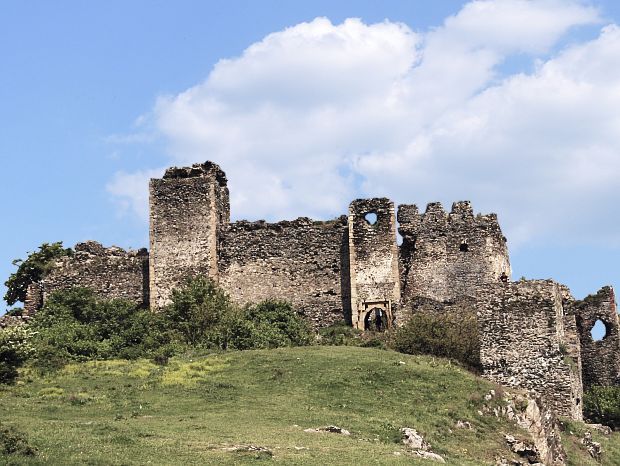 Zamek Șoimoș