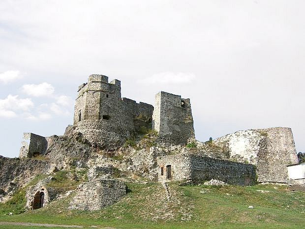 Zamek Levicki