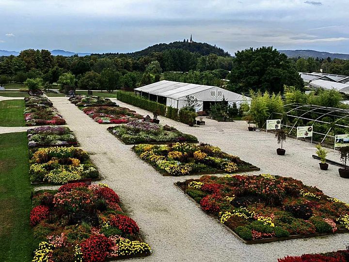 Arboretum Volčji Potok