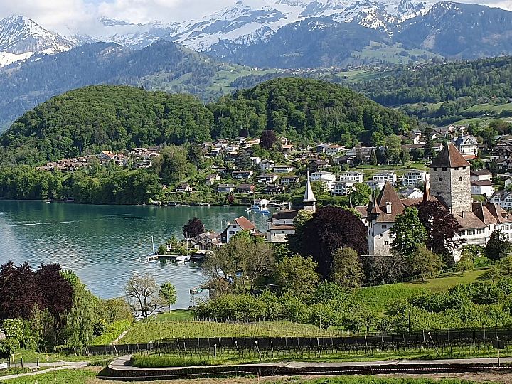 Spiez