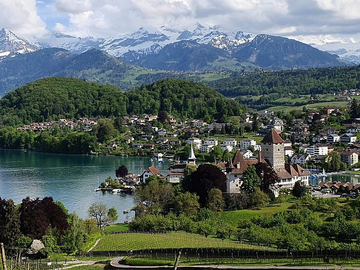 Spiez