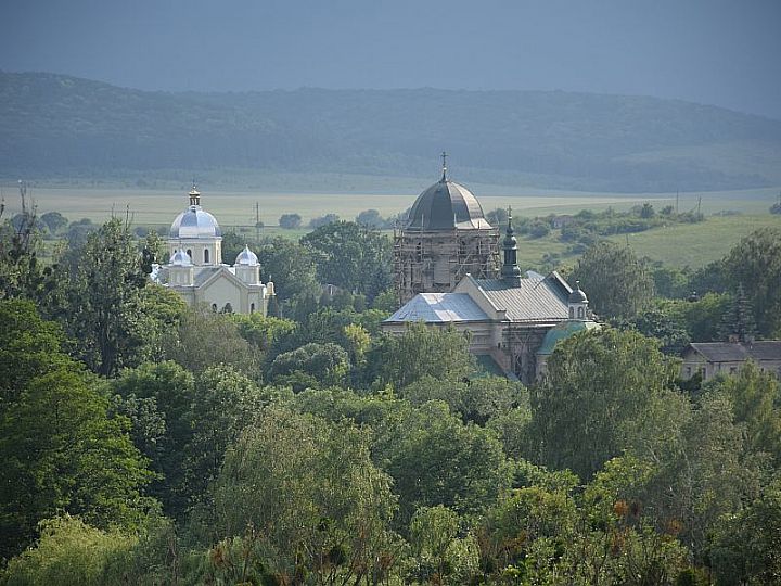 Zamek Oleski