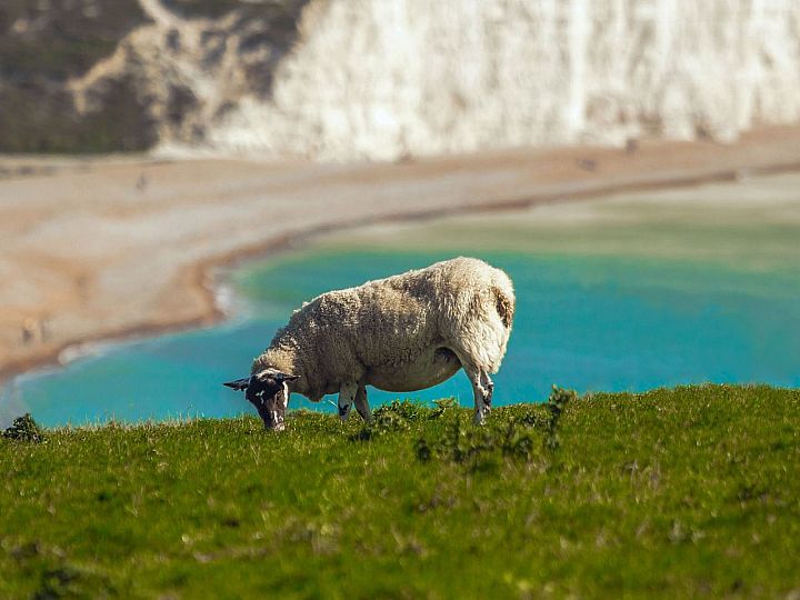 Seven Sisters