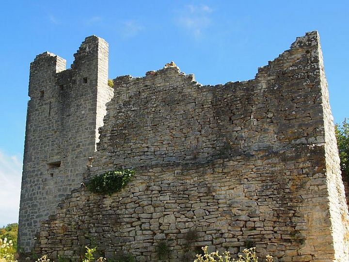 Zamek Dvigrad