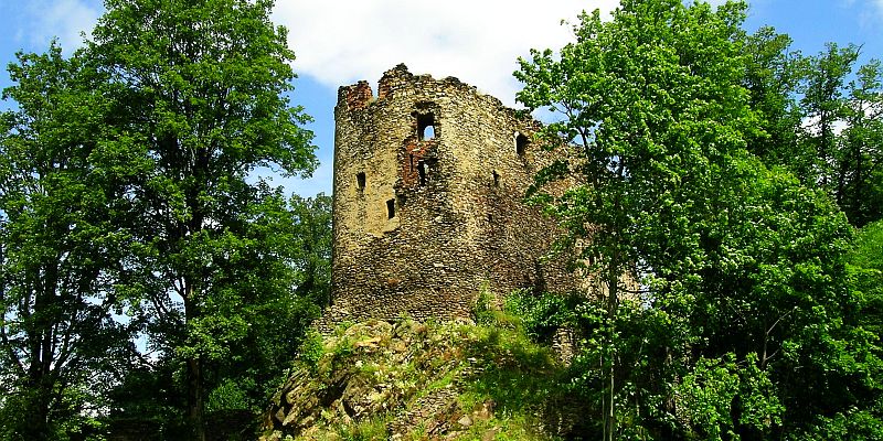 Zamek w Świeciu - panorama