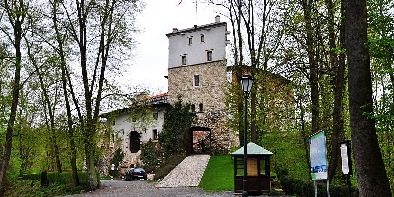 Zamek w Korzkwi - panorama