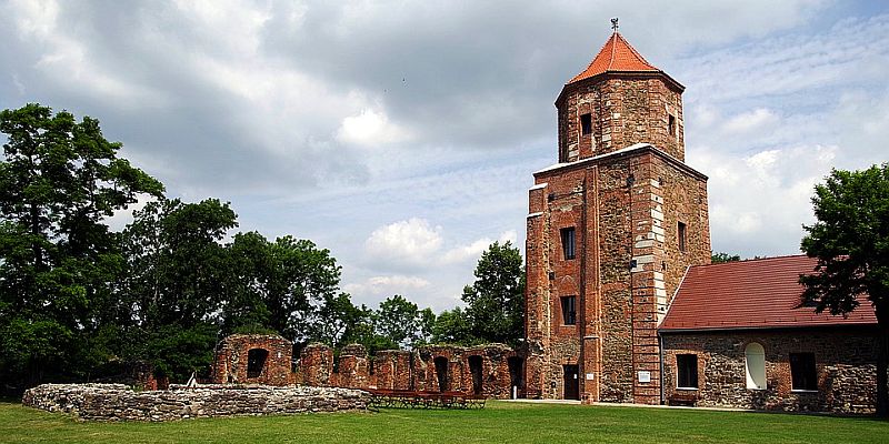 Zamek w Toszku - panorama