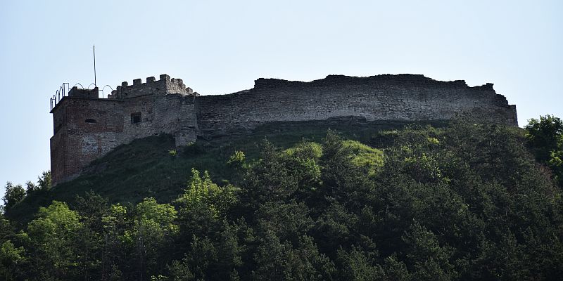 Zamek w Krzemieńcu - panorama