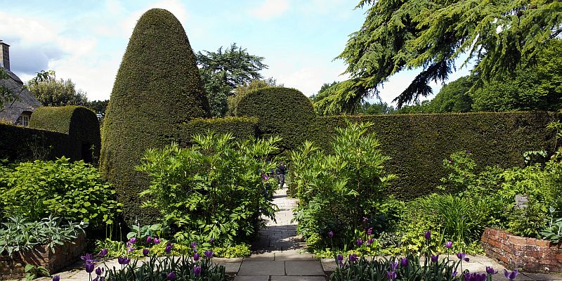 Ogród Hidcote Manor - panorama