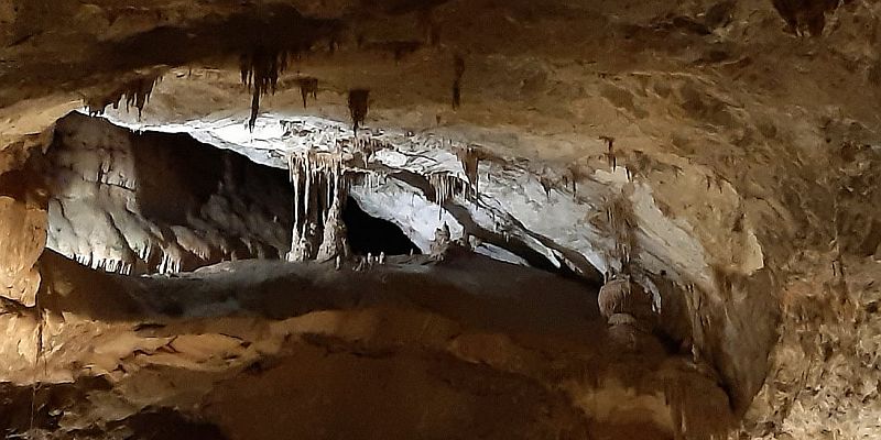 Jaskinia Bossea
